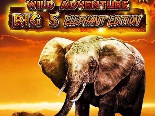 Wild Adventures - Big 5 Elephant Edition screenshot